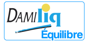 Damiliq Equilibre