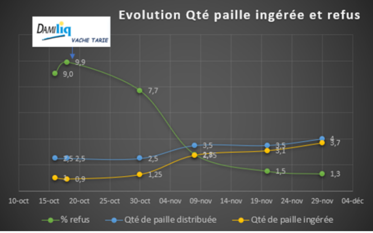 Résultats et efficacité de l'aliment liquide sur vache tarie